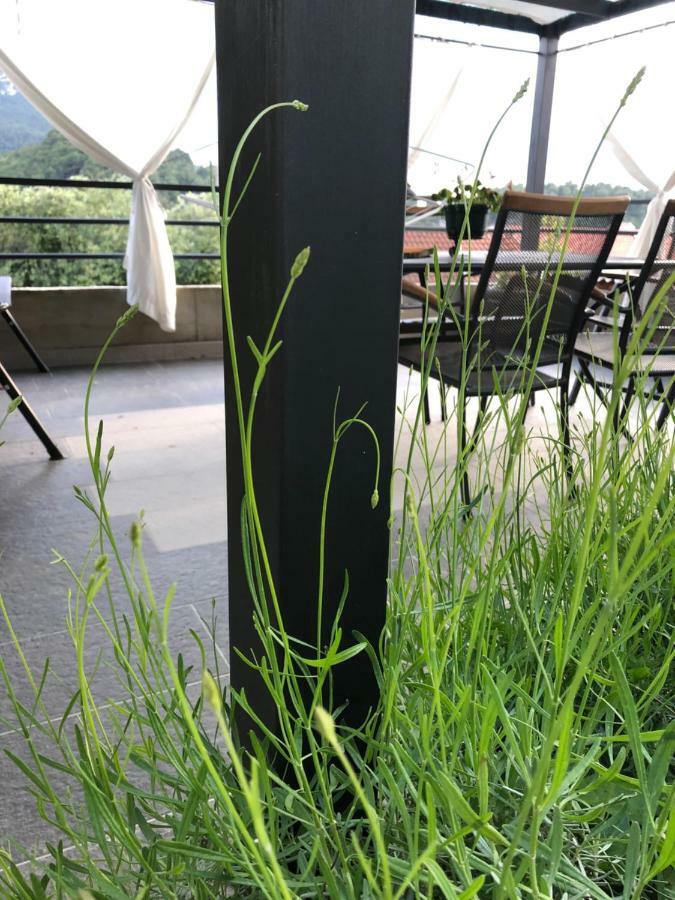 Apartments Leko จูเลียนา ภายนอก รูปภาพ